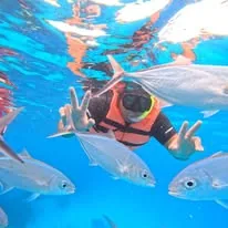 Snorkel con peces